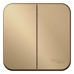 Выключатель 2-кл. ОП Blanca 10А IP20 (сх. 5) 250В с изолир. пластиной титан SE BLNVA105014 1210583