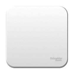 Выключатель 1-кл. ОП Blanca 10А IP20 (сх. 1) 250В с металлич. пластиной бел. SE BLNVA101021 1210439