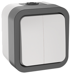 TORS Выключатель двухклавишный 10А IP55 TS205 серо-белый IEK TS-V20-0-10-55-K41