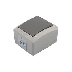 Переключатель проходной INDUSTRIAL IP54 о/у, серый KRANZ KR-78-0610