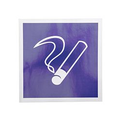 Наклейка информационный знак "Место курения" 200х200 Rexant 56-0033