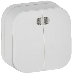 GLORY Выключатель 2-клавишный для открытой установки с индикацией 10А ВС20-2-1-ХБм белый матовый IEK EVH21-K01M-10