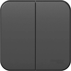 Выключатель 2-кл. ОП Blanca 10А IP20 (сх. 5) 250В с изолир. пластиной антрацит SE BLNVA105016 1210624