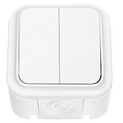 Выключатель двухклавишный брызгозащищенный открытой установки А5 6-224 8646BY