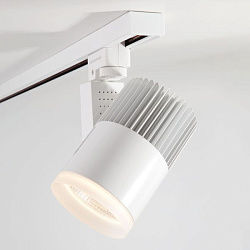 Светильник светодиодный трековый для однофазного шинопровода Accord Белый 20W 4200K LTB17 Elektrosta a039437