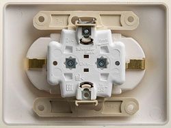 Розетка 2-м СП Glossa 16А IP20 с заземл. в сборе перламутр. SE GSL000624 1180347