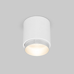 Накладной светодиодный светильник Cors 25032/LED 10W 4200K белый/серебро Elektrostandard (УЦЕНКА) a062387уц
