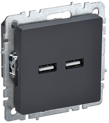 BRITE Розетка USB A+A 5В 3,1А РЮ10-1-БрГ графит IEK BR-U21-D31-K53