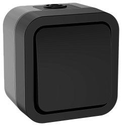 TORS Выключатель кнопочный 10А IP55 TS110 графит IEK TS-V14-0-10-55-K53