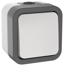 TORS Выключатель двухполюсный одноклавишный 10А IP55 TS211 серо-белый IEK TS-V16-0-10-55-K41