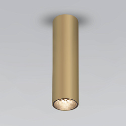 Pika 6W (25031/LED) /Светильник накладной золото 25031/LED Elektrostandard (УЦЕНКА) a061536уц