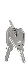 Ключ для пластикового замка к ЩРН (арт. lock-shrn-ip31) EKF PROxima key-4