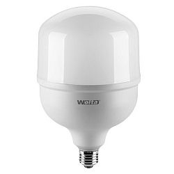 Лампа светодиодная высокомощная 60Вт 5000лм 6500K E27/40 (12шт/уп) WOLTA 25WHP60E27/40