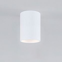 Светильник накладной GU10 белый 25011/01 25011/01 Elektrostandard a064288