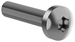 FORMAT Винт М6х30 самонарезающий полукруглая головка шестирадиусный шлиц TORX30 DIN 7500С (20шт/упак) IEK FO-00D-VTORX-M6X30-020