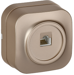 GLORY Розетка для открытой установки компьютерная RJ45 кат.5E РК10-ХШм шампань матовый IEK EKH10-K37M