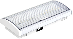 LIGHTING Светильник аварийный ДПА 5043-3 постоянного действия 10-24/220В 3ч IP54 IEK LDPA1-5040-3-54-K01