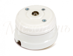 Розетка ретро TV (SAT) оконечная (в комплекте с подъемной рамкой D70x45), цвет - белый, коллекция "Н GE70321-01