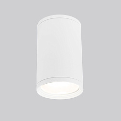 Светильник уличный потолочный Light 2101 IP65 35128/H белый Elektrostandard (УЦЕНКА) a056333уц