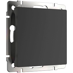 Заглушка (черный матовый) Werkel W1159208