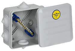 Коробка уравнивания потенциалов КУП 100х100х50мм IP55 КМ41361 безгалогенная (HF) 6 гермовводов (RAL 7035) IEK UKO21-100-100-050-K41-55U