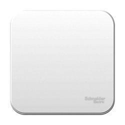 Выключатель 1-кл. ОП Blanca 6А IP20 (сх. 1) 250В с металлич. пластиной бел. SE BLNVA061021 1210435