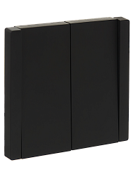 FORTE&PIANO Выключатель 2-клавишный 10А FP105 черный IEK FP-V20-0-10-1-K02