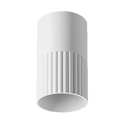 Накладной светильник WOLTA WSL-GU10/18W DUO под лампу GU10 Белый D55x110 WSL-GU10/18W