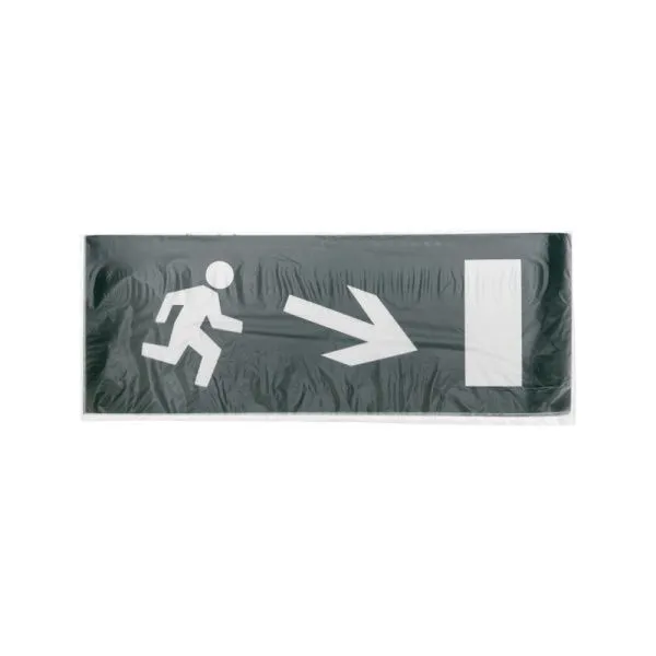 Наклейка для аварийного светильника  "Направление к эвакуационному выходу направо вниз" REXANT - Фото 2