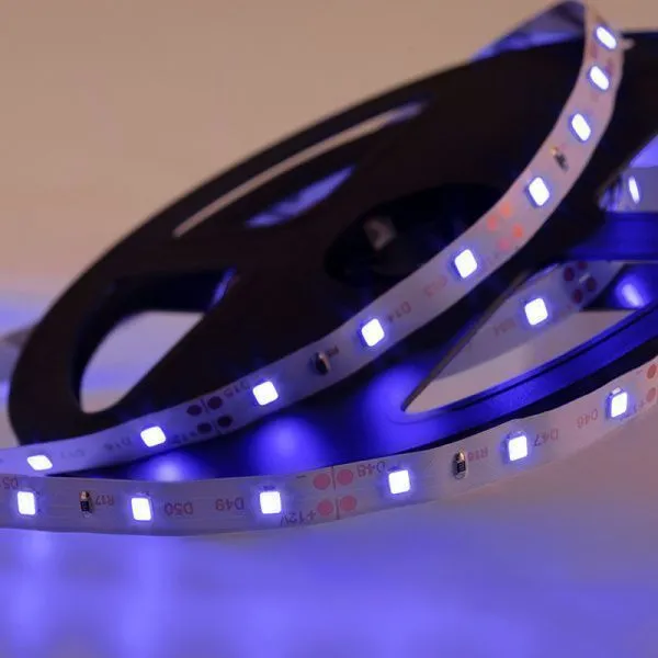 LED лента 5м открытая, 8 мм, IP23, SMD 2835, 60 LED/m, 12 V, цвет свечения синий LAMPER - Фото 2