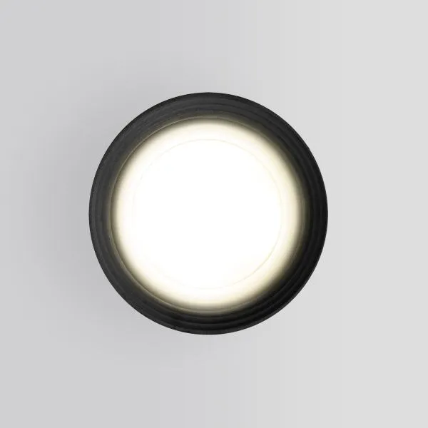 Светильник уличный потолочный Light 2101 IP65 35128/H серый Elektrostandard