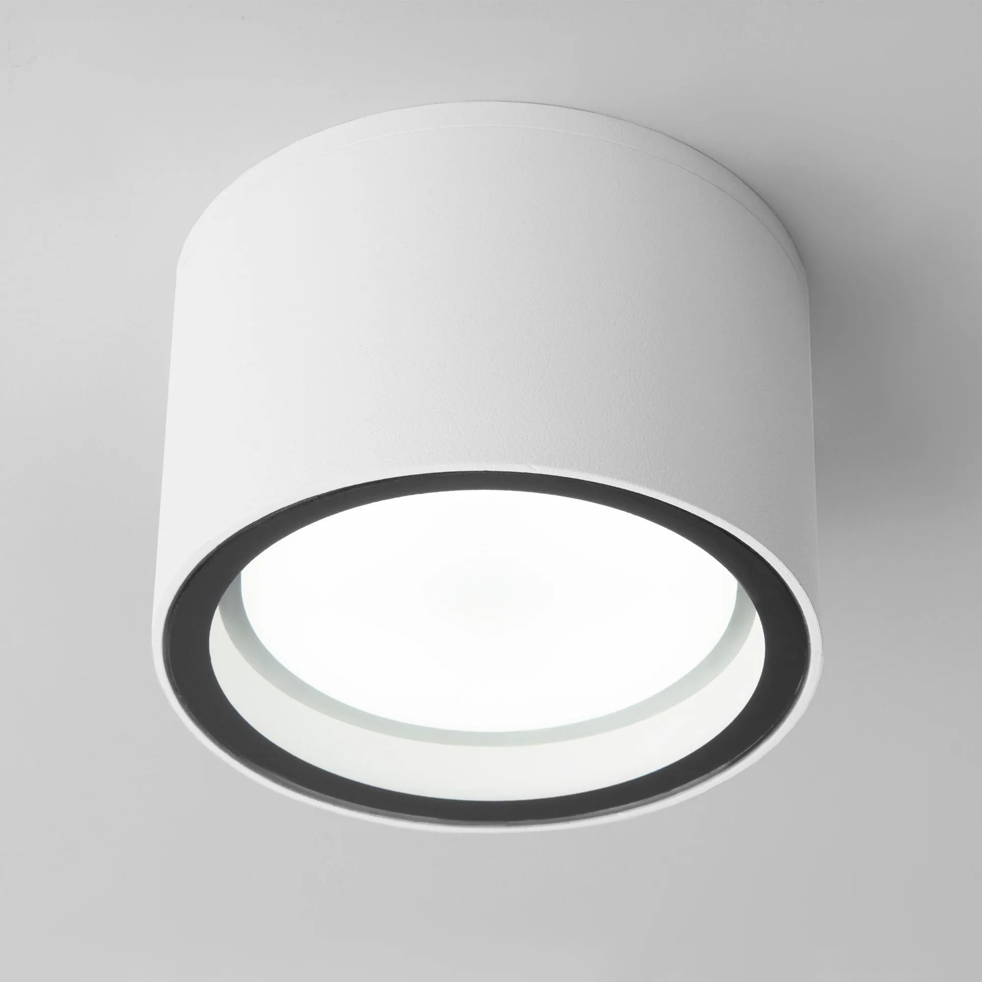 Светильник уличный потолочный Light 26231 IP54 35144/H белый Elektrostandard