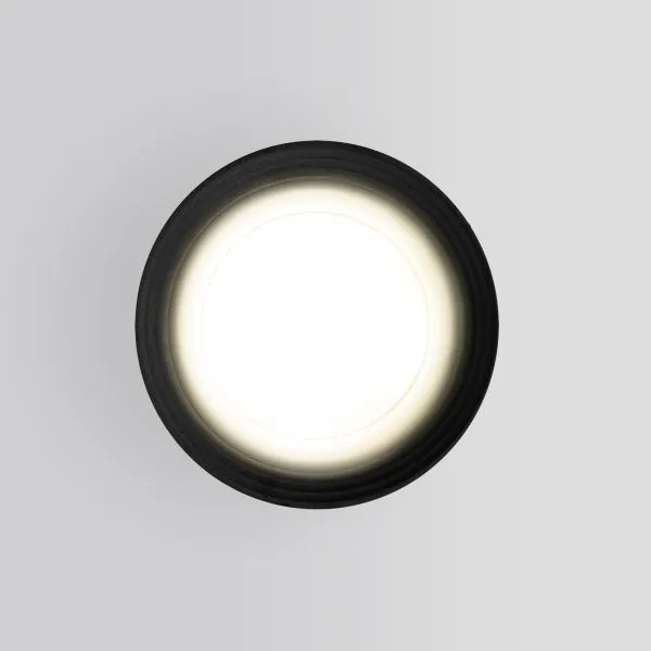Светильник уличный потолочный Light 2101 IP65 35128/H черный Elektrostandard